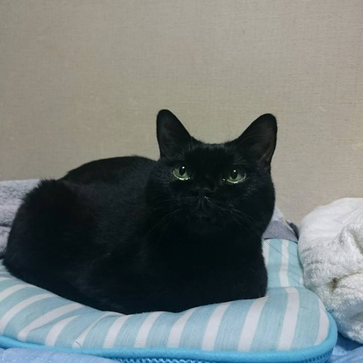 1d06c11d 5145 4720 b7cb a8b34d2e530e