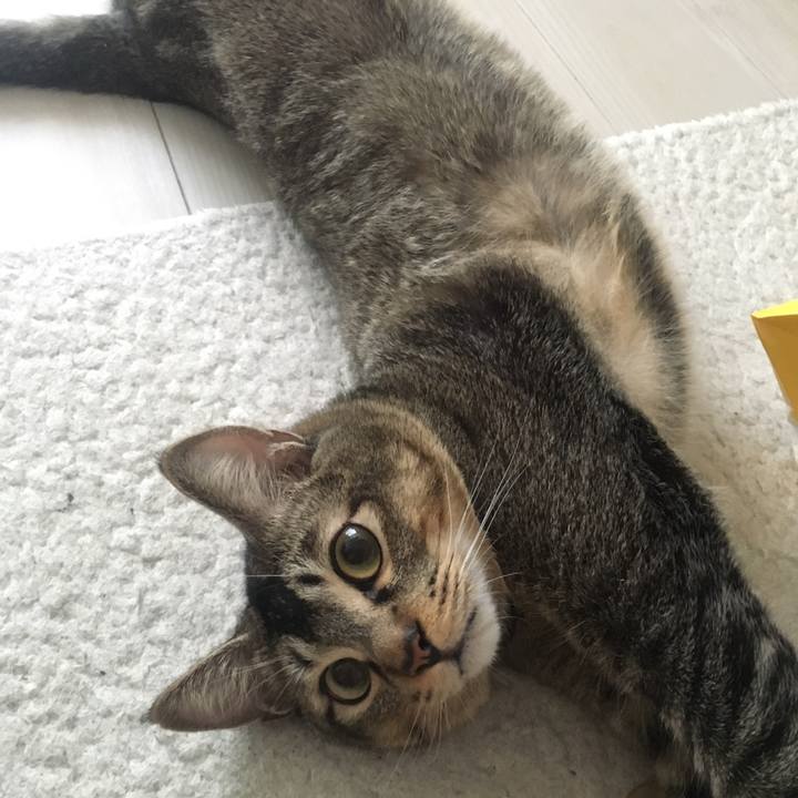 1d07c0a4 c703 40f8 98e7 23daf36faab3