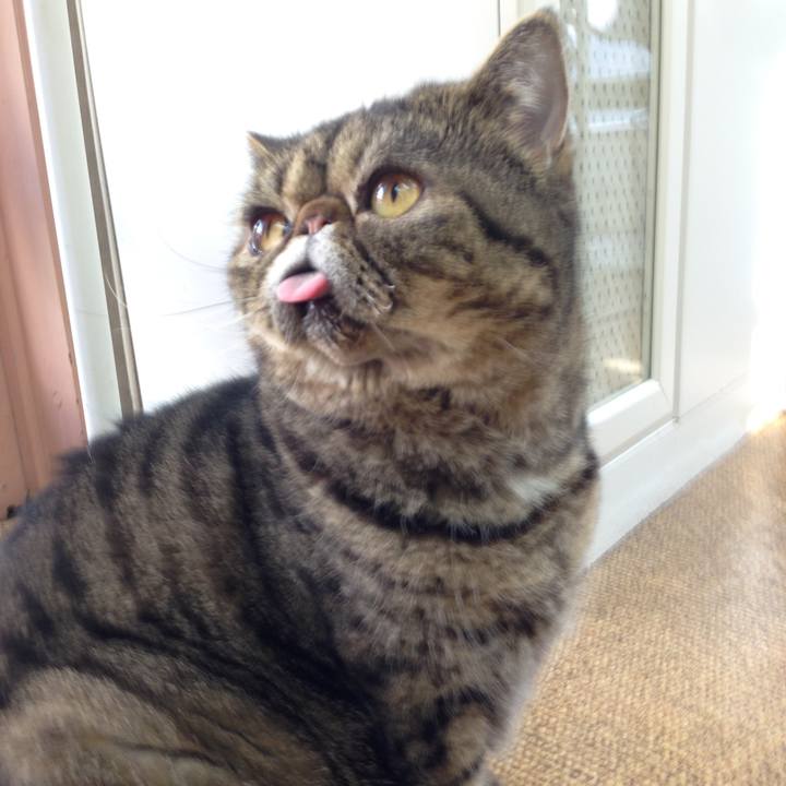 1d07cae0 d9e6 4c04 8cc4 3a5942cef74b