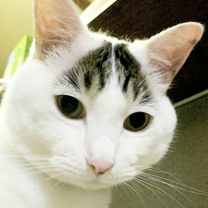 1d0804d3 561e 4f65 a9cd a1eb829113e1