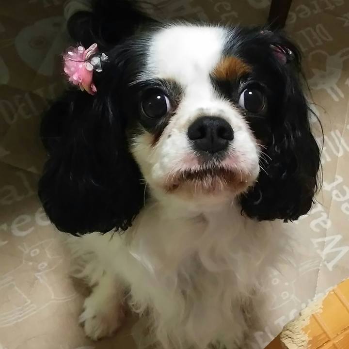 1d08660a 035e 4ea9 b1d9 831b2d433930