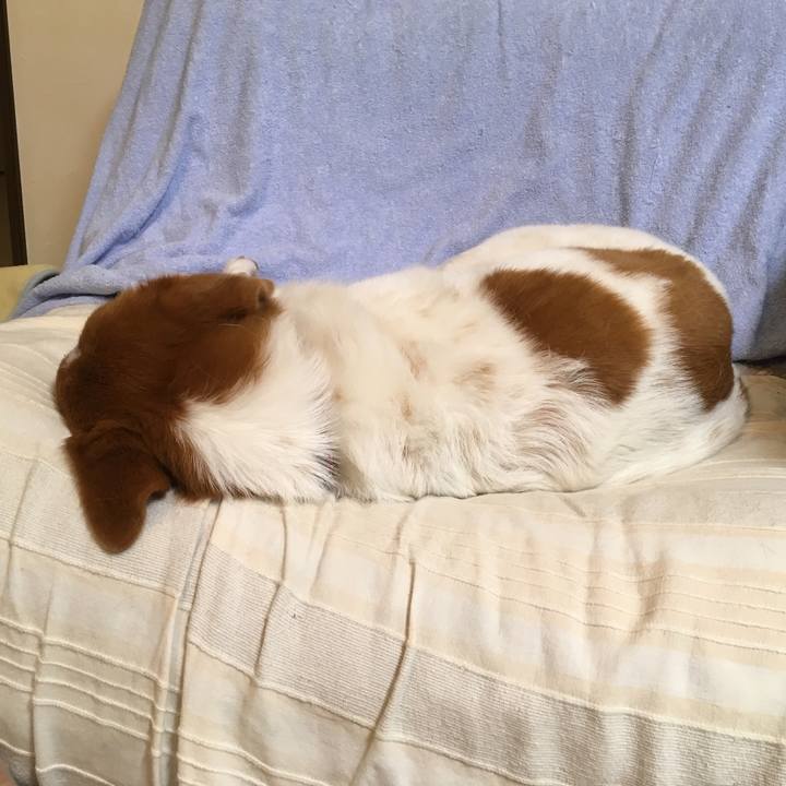 1d09e9e7 d4c9 46a2 ad5f 41367e8bbd3d