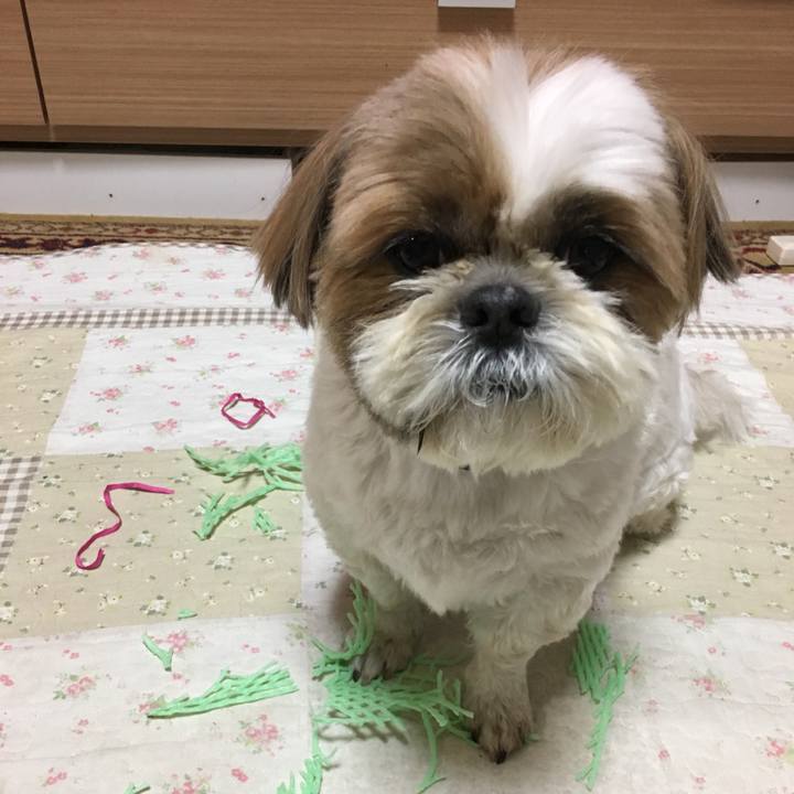 1d0a4598 887d 4235 9307 051cff10bca2