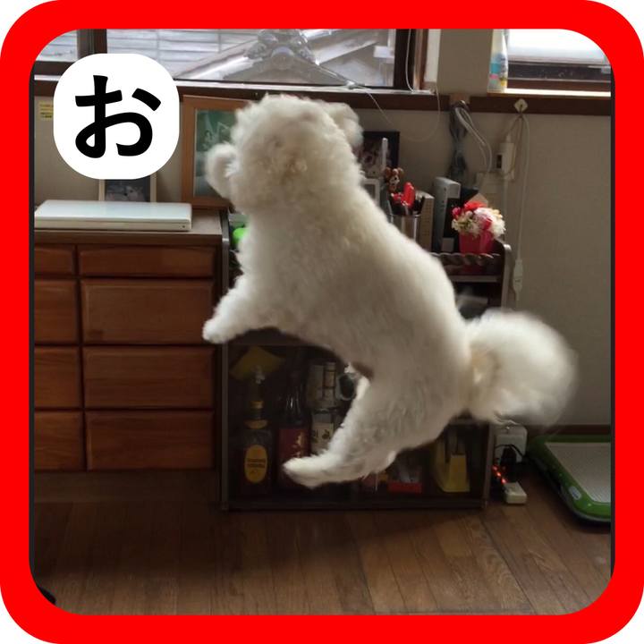 1d0a7f49 268c 414b a31b 4ed8aa06f34f