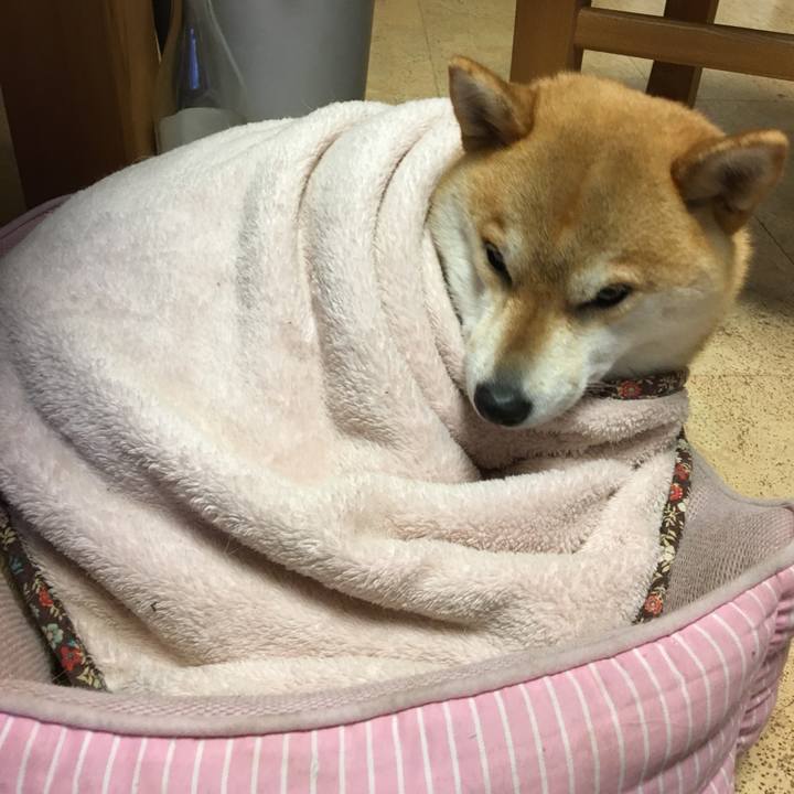 1d0b1780 6046 457f 9718 07ba95baad3c