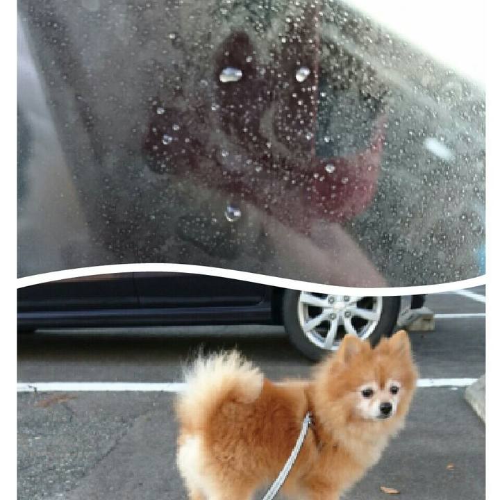 1d0b242f 123f 405b a3c7 c35357cc5493