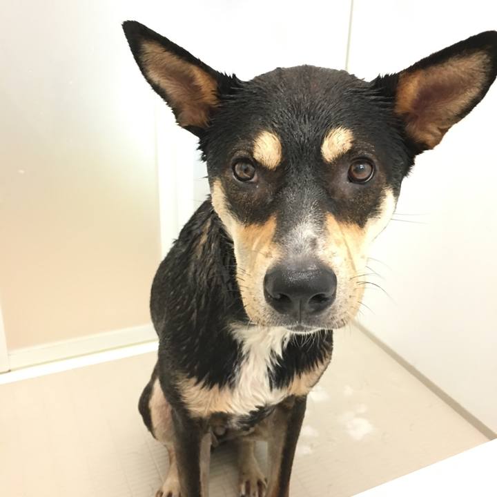 1d0b6c2f 6cd3 4d47 8e9d 154a8fdcd09c