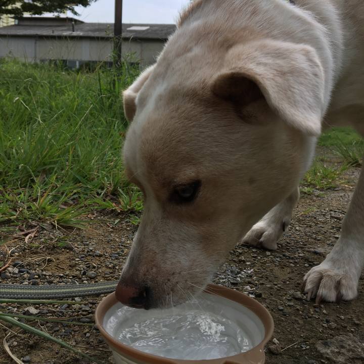 1d0be480 15d9 48b1 a300 f9f731ca004d