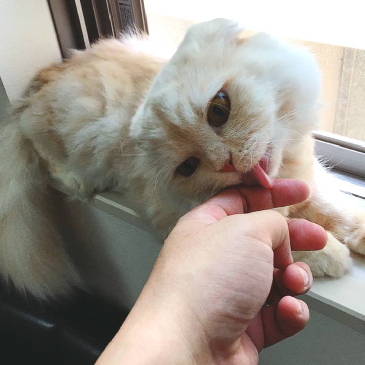 1d0bea30 ffe8 4d43 a249 9cd66fa821f1