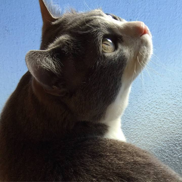 1d0cc06a 7375 47cb a4e9 0627dffd34ff