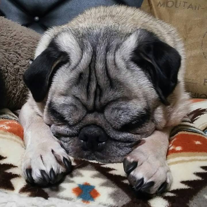 1d0ce10c d55a 4512 a36e 6be4e3e3c17b