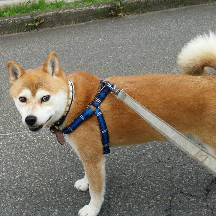 1d0d1fa7 9e45 43d8 806f bcd03b08c37d