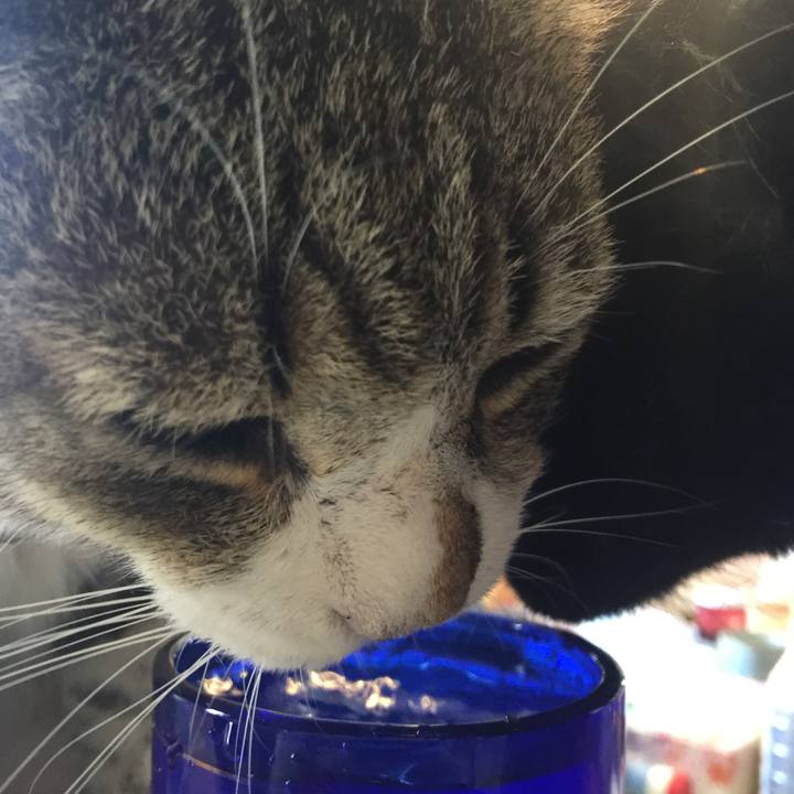 1d0e2b3d fcad 4e51 a359 3daeae8c10a5