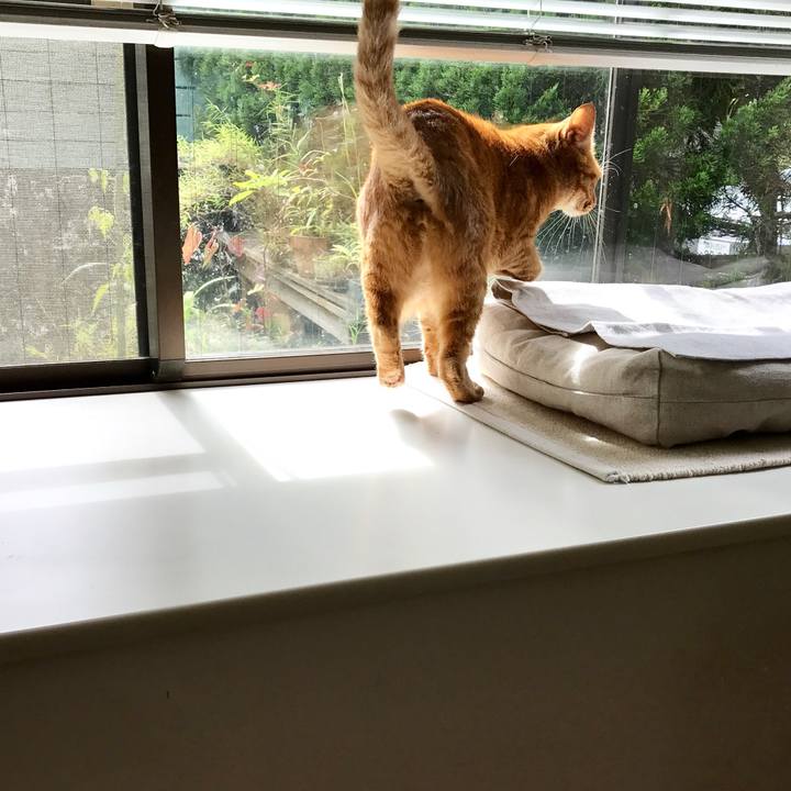 1d0e55e9 b2cc 4f13 ae5a 260cf376b93c