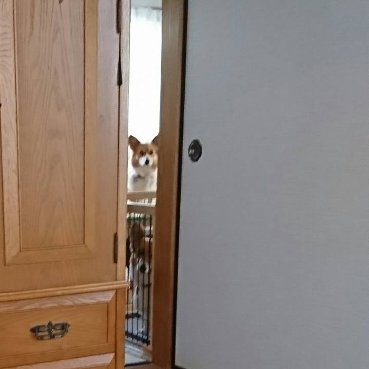 1d0ff60b ecfb 413e bbd3 ee17ec984750