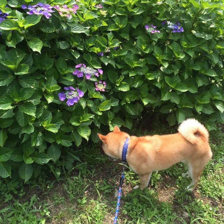 1d107167 ce41 4ef7 8134 f465178c9745