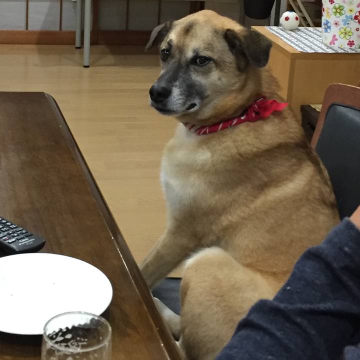 1d10d157 c351 4a07 8686 9ac70b8d6637