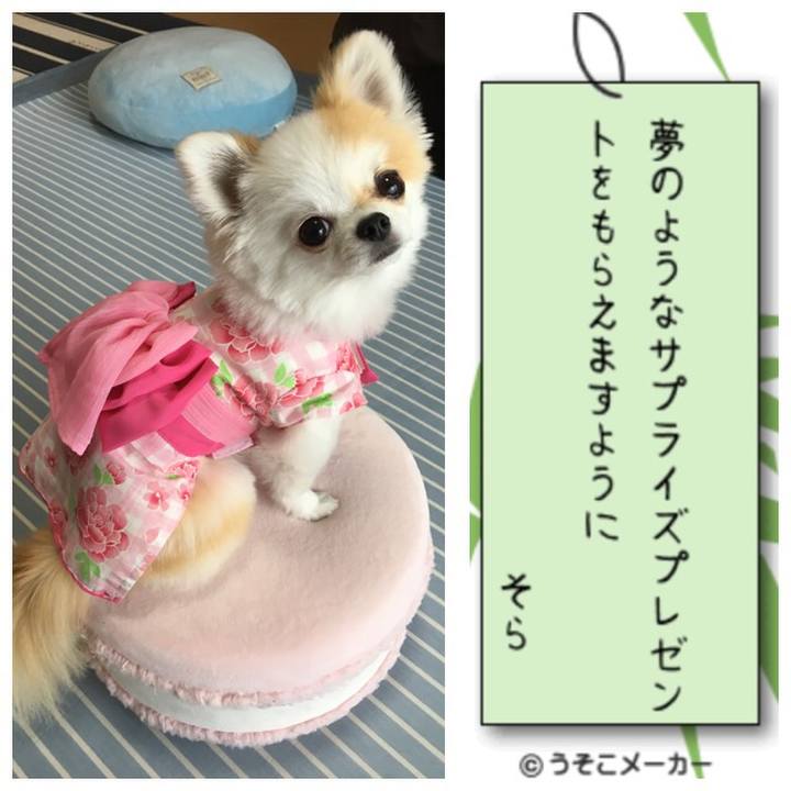 1d110ff1 425b 4e15 9d9d 867c360e6518