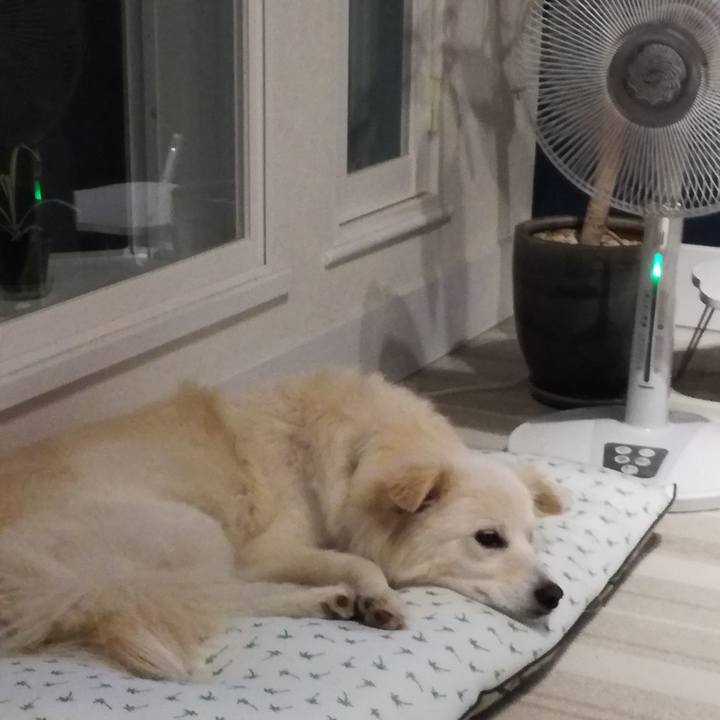 1d117399 6afa 4b29 bd56 7dec96c73adf