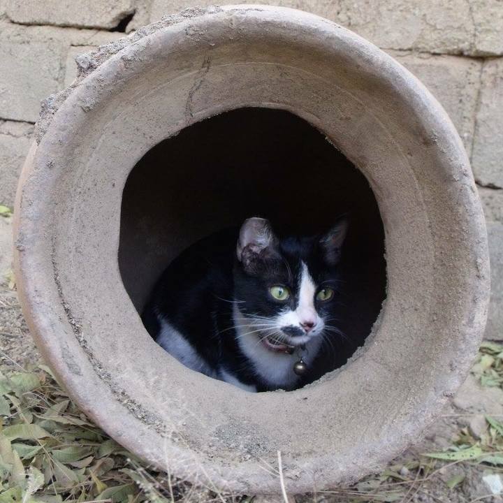 1d1231d3 1d00 46c5 8b25 eebd00d4e98b