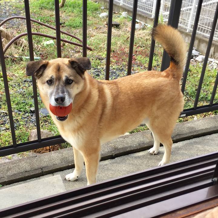 1d123b91 a21d 48d0 b82f cc4c3ac7a1a4