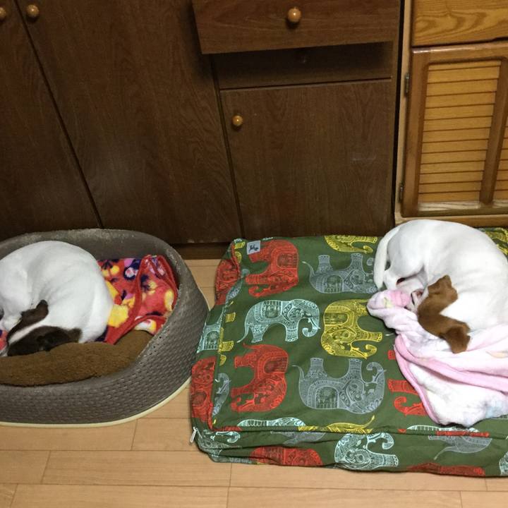 1d127591 cb9c 44ae 9815 705abea1e9c7