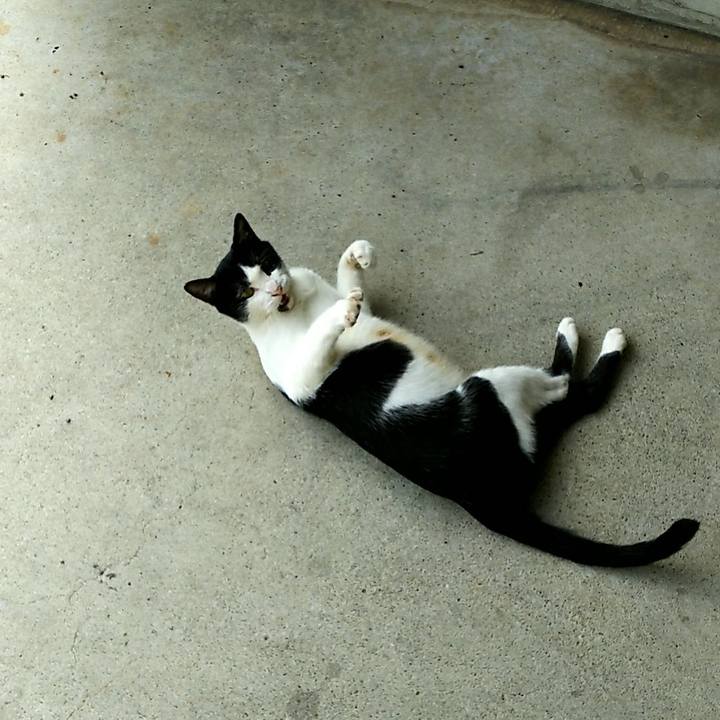 1d130b03 e7f7 4627 812a cd7035aca6a6