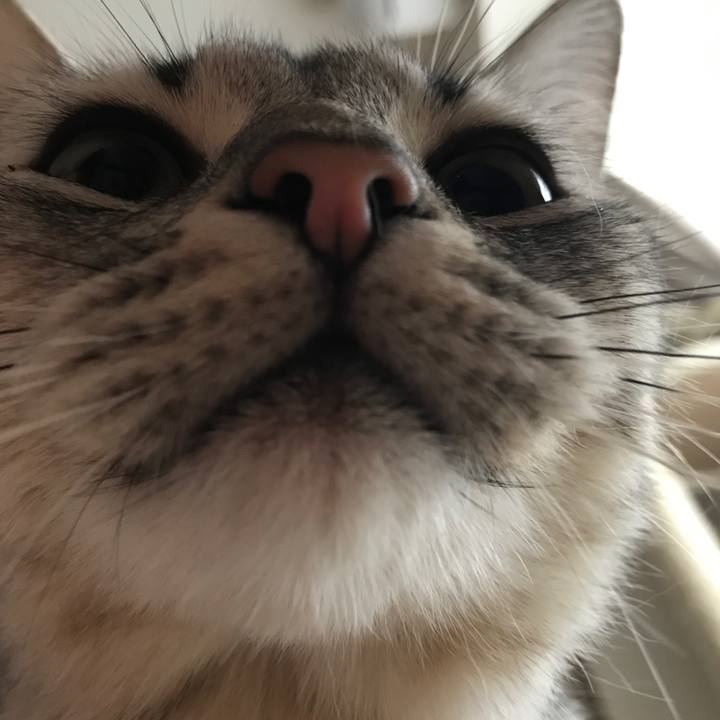 1d1315ae 9b19 48ab b0e0 f3095ca239e6