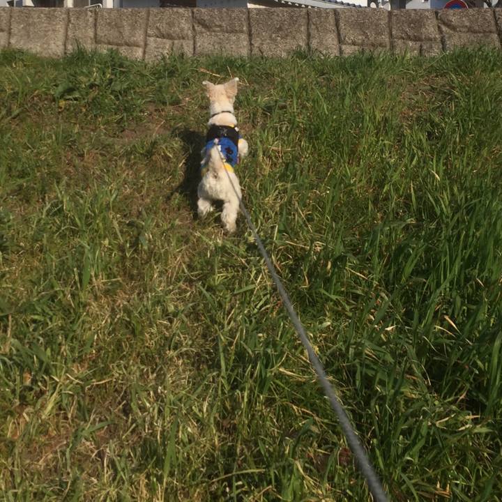 1d13a7ae f564 4bd7 b772 98e0b3fbbdf5