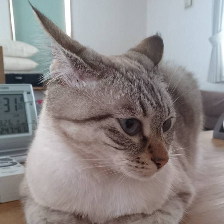 1d13e139 f806 4349 8a48 dc1bdc5cf98c