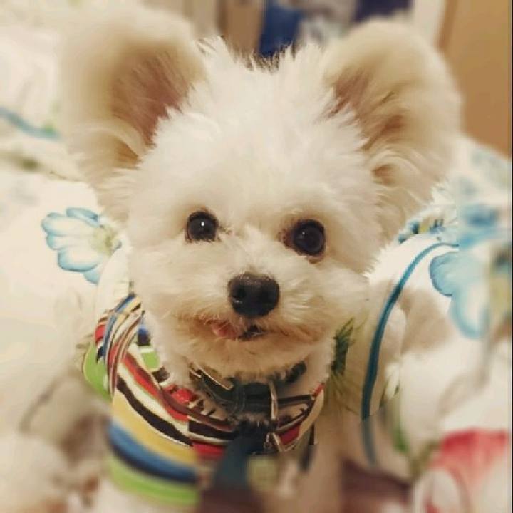 1d141b3d 0916 4caf aa48 8ea89785fbd8