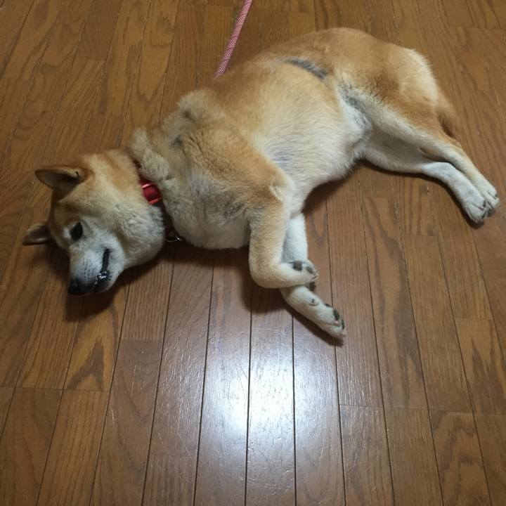 1d14c79a 0705 4e87 a924 816f059cbd4c