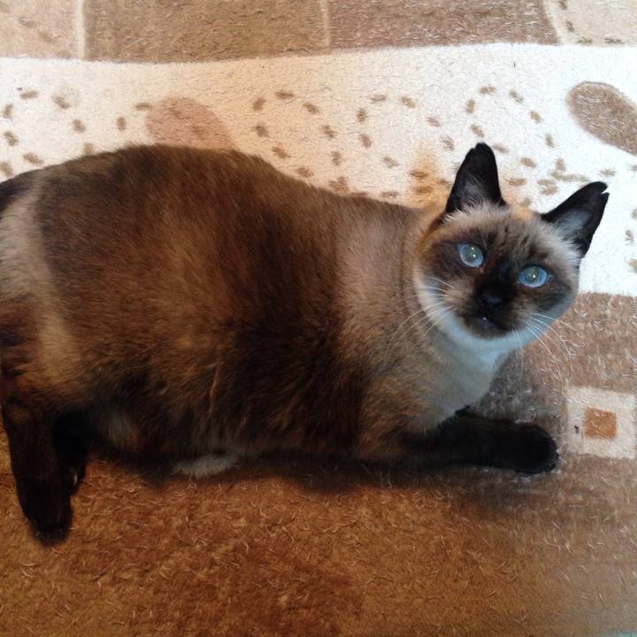 1d1586bd 4ac0 429c 9776 98a3cda62b48