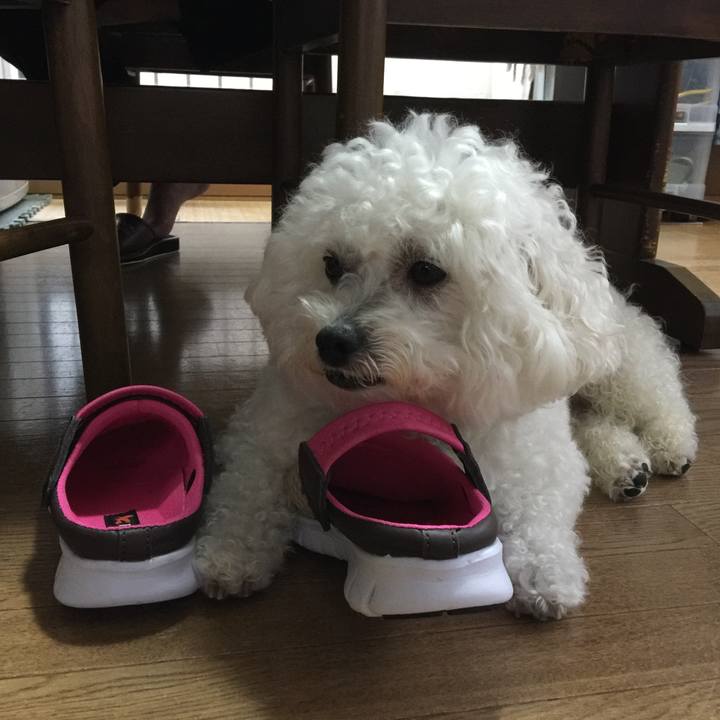 1d169590 1c42 4c7e a00a ab0ebb5106d7