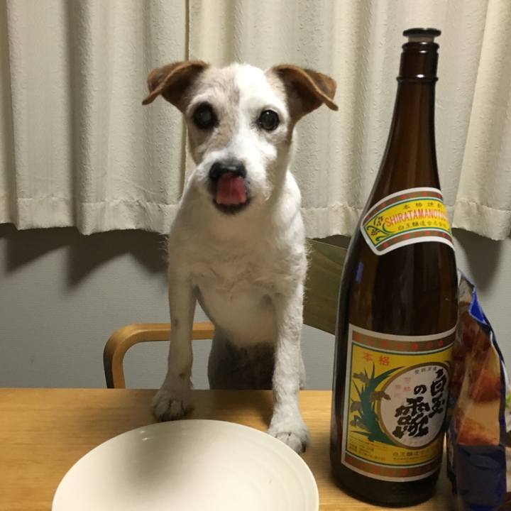 1d16c214 07ea 46d1 8d31 7004c85feb6a