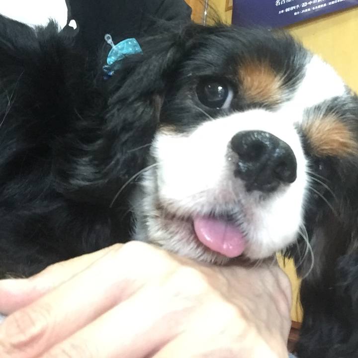 1d171369 a4b4 4842 8fe6 a63bf0073eea