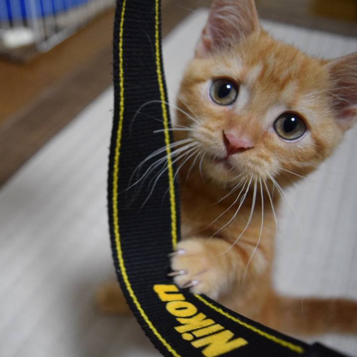 1d175238 6d48 4169 bd47 62d0f3f950bf