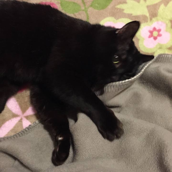 1d181a68 4ee5 4b62 a82a 71f295f53444