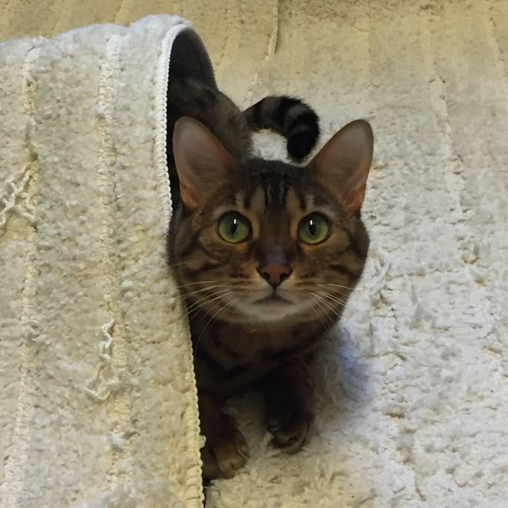 1d1901f6 ec69 48ae 9415 f77c5b642fd5