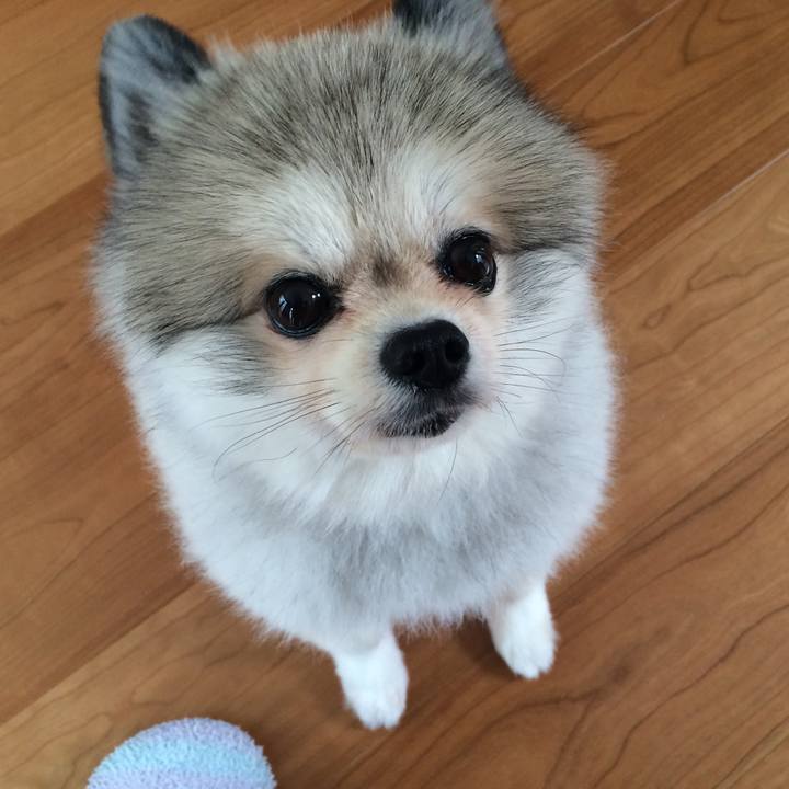 1d19a058 facd 4a79 b9ad b2c516be43b4