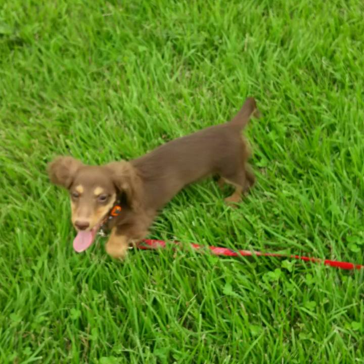 1d1a08e4 cf7d 42ef ba85 9934e0605105