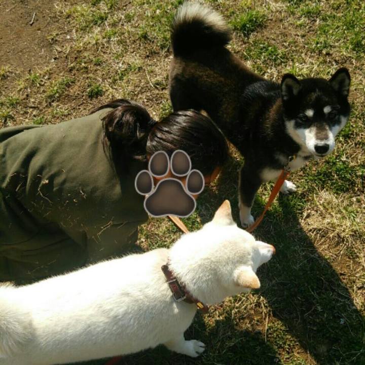 1d1aaec1 c2ae 4f67 9487 b6838e6387ff