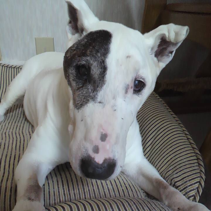 1d1ac078 01e0 40f9 b3f6 b58fbbf74f66