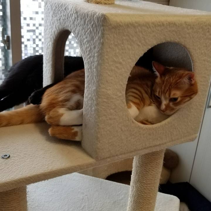 1d1af7c6 45be 40fb 9780 1cbefbd156f8