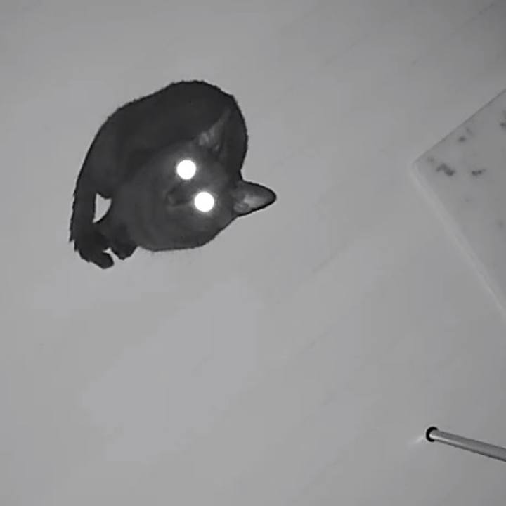 1d1b22e3 289f 4aae b435 b5cc88f05be8