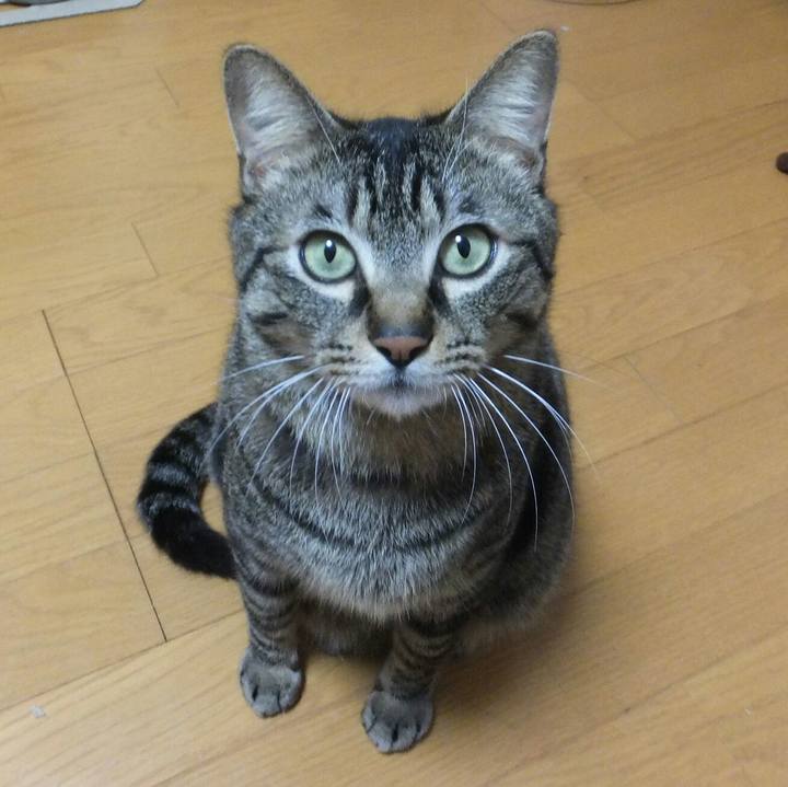 1d1b2b16 8d8b 4973 9047 df36be12e846