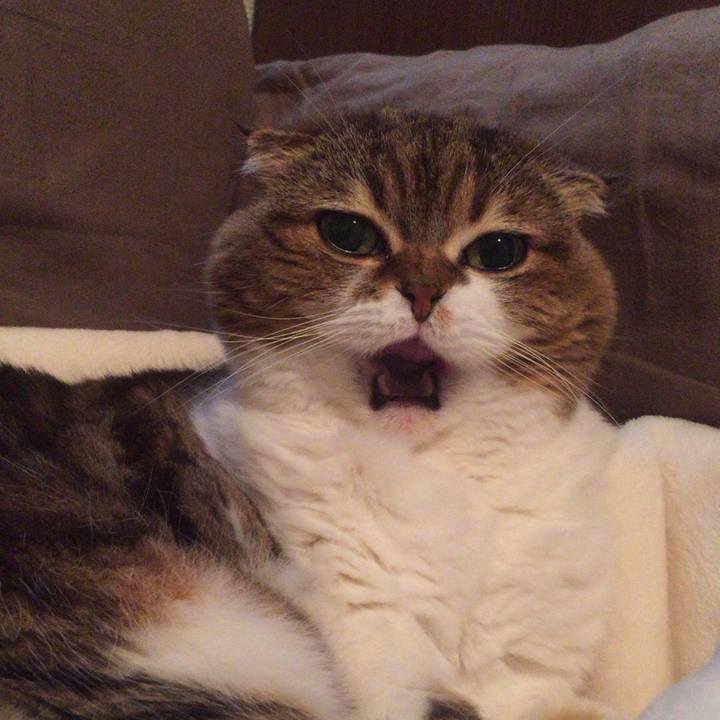 1d1b5338 4b70 43c9 94f7 11f1c3b87faf