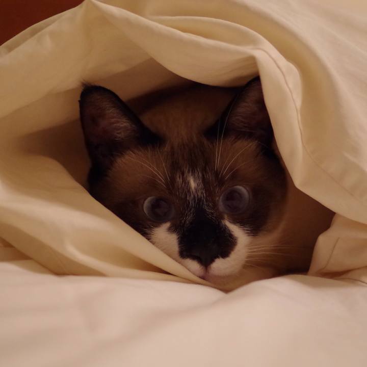 1d1b5d30 eee9 4cd7 8891 fa62a6363b99