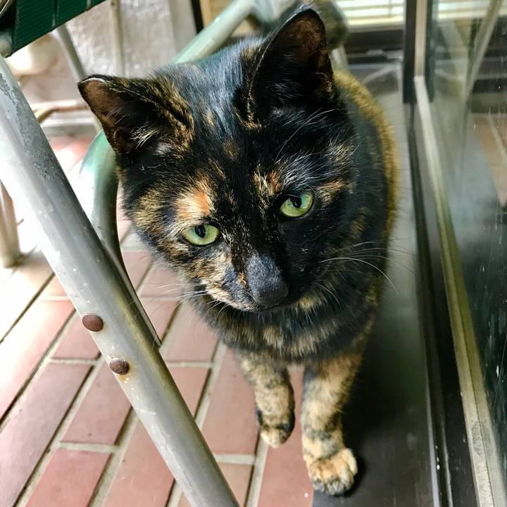 1d1bbae8 0f27 4d33 9085 f3f3eee76bb0