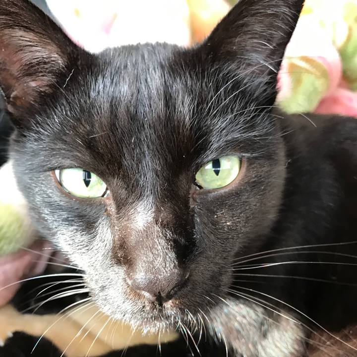 1d1bff8e bc7e 4172 8c0f ab7bac2e2a95